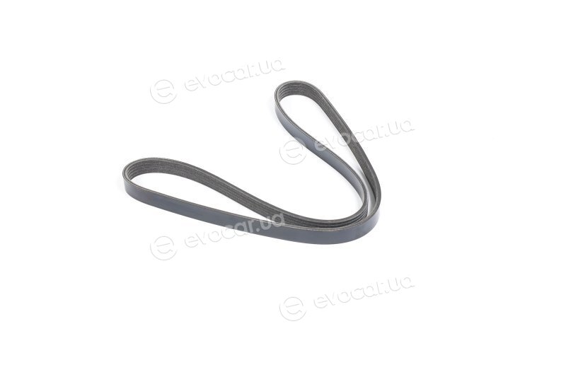 Dayco 5PK1095S