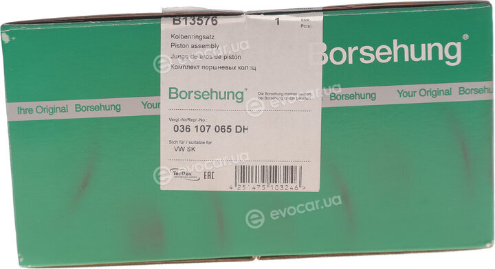 Borsehung B13576