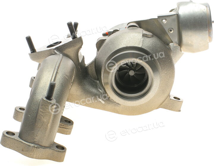 BorgWarner 54399880058