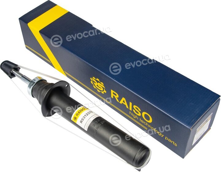 Raiso RS312379