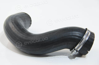 Rapro R25554