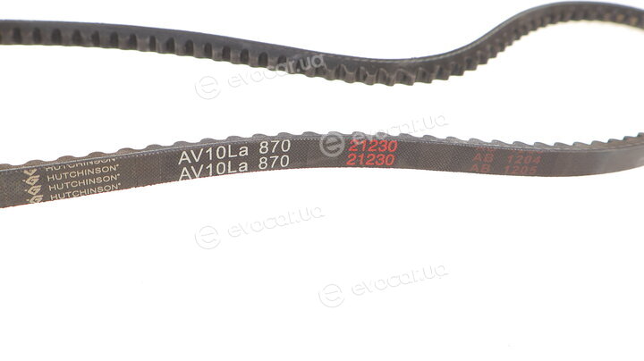Hutchinson AV 10 La 870