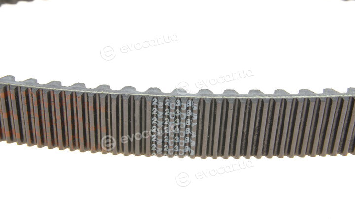 Dayco HPX2233