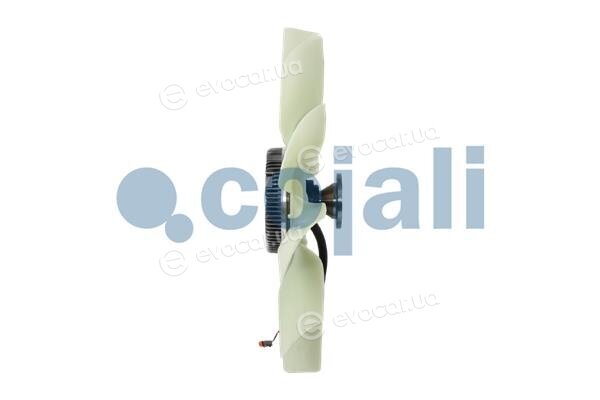 Cojali 7075409