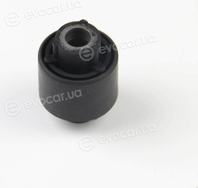 BC Guma 0252