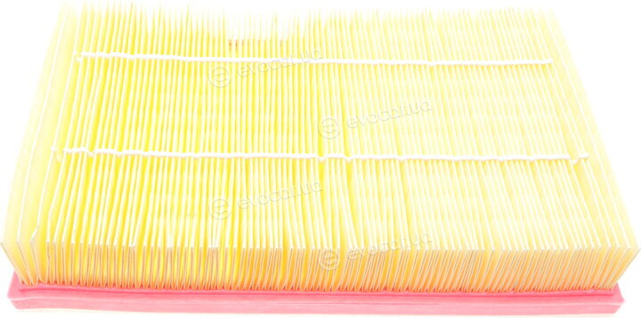 Solgy 103050