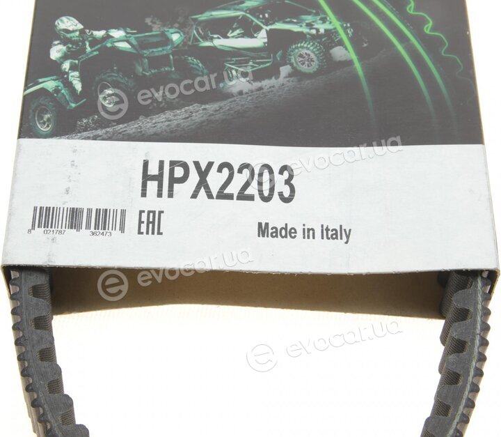 Dayco HPX2203