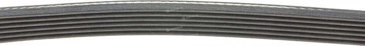 Dayco 6PK923