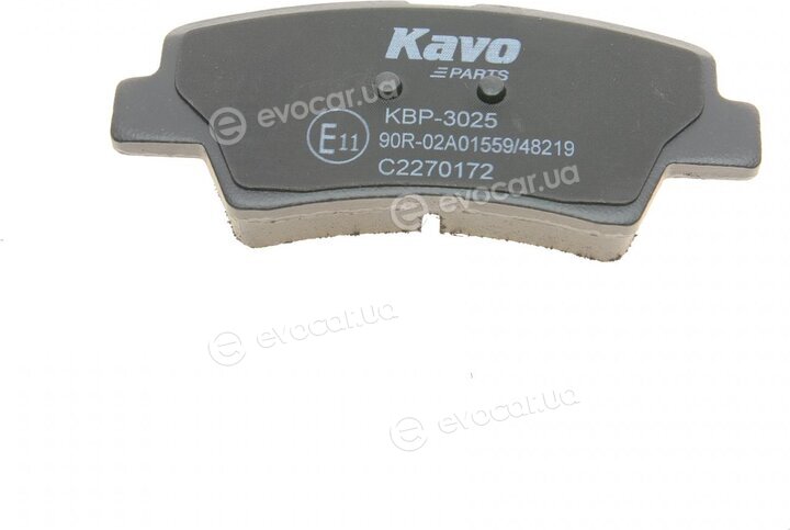 Kavo KBP-3025