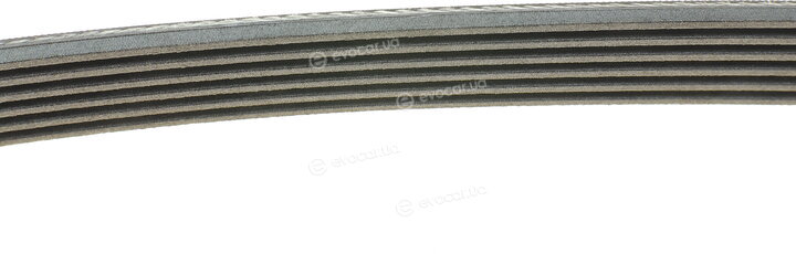 Continental 6PK1200K1