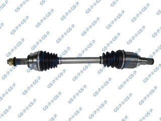 GSP 239229