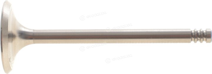 AMP PSKO023-S-0-N