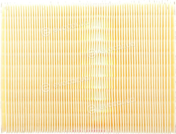 Solgy 103146