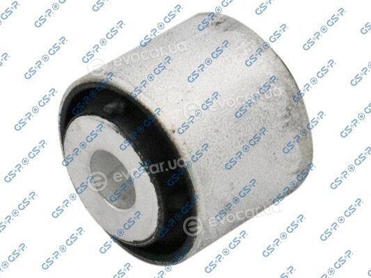 GSP 510513