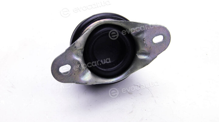 Metalcaucho / STC 02942
