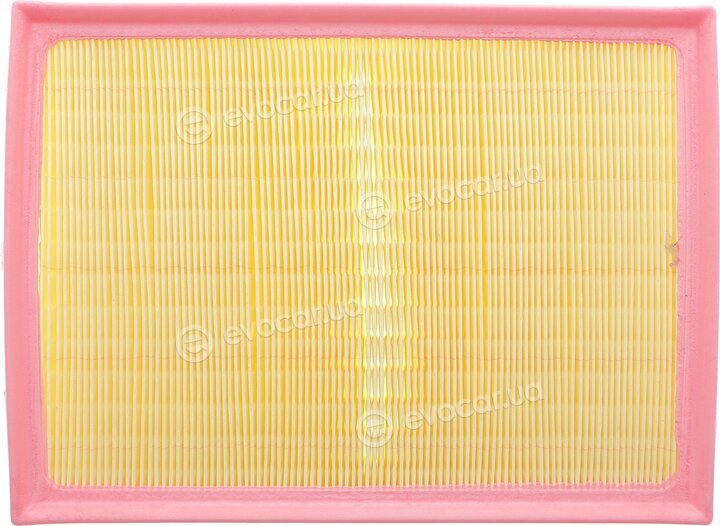 Solgy 103168