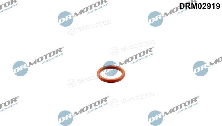 Dr. Motor DRM02919