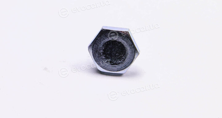 Metalcaucho / STC 02929