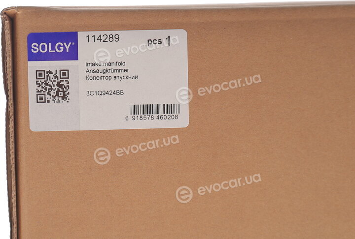 Solgy 114289