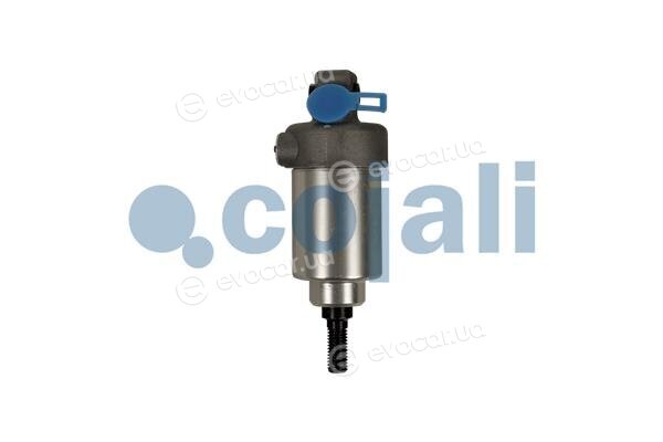 Cojali 2201301