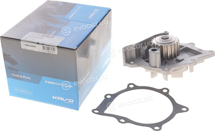 Kavo MW-4446