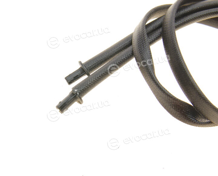 Solgy 209050