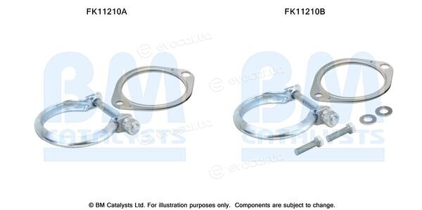 BM Catalysts FK11210