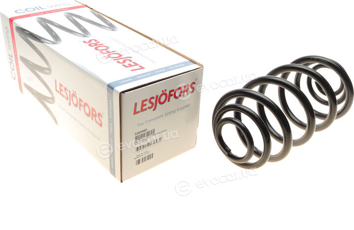 Lesjofors 5263460