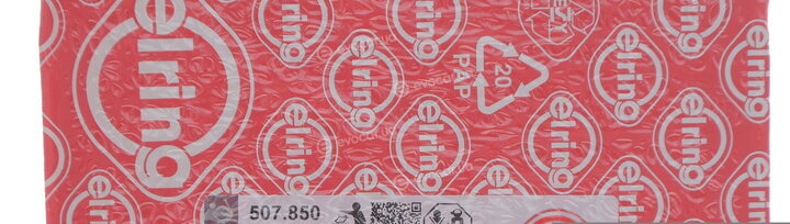 Elring 507.850