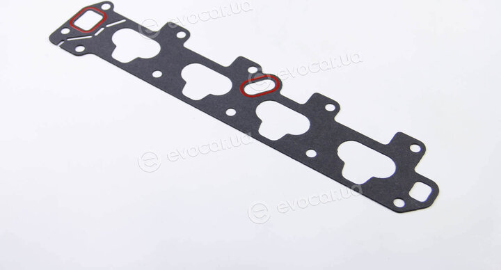 BGA MG5582