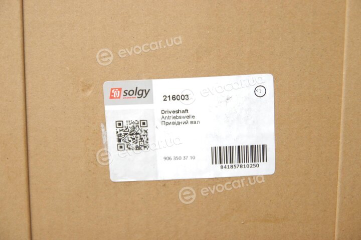 Solgy 216003