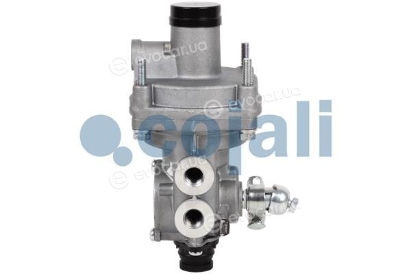 Cojali 2220336