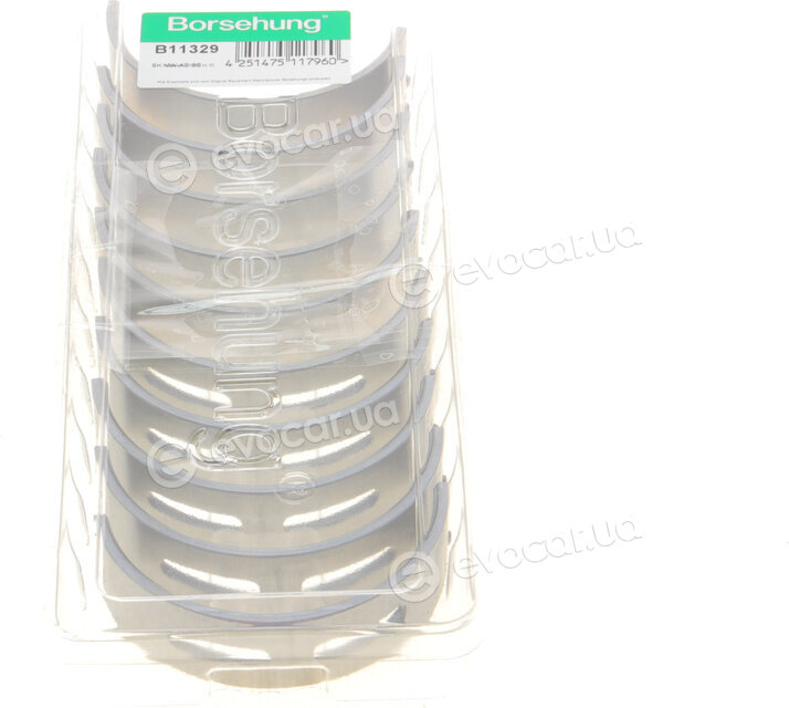 Borsehung B11329