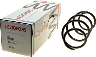 Lesjofors 4056876
