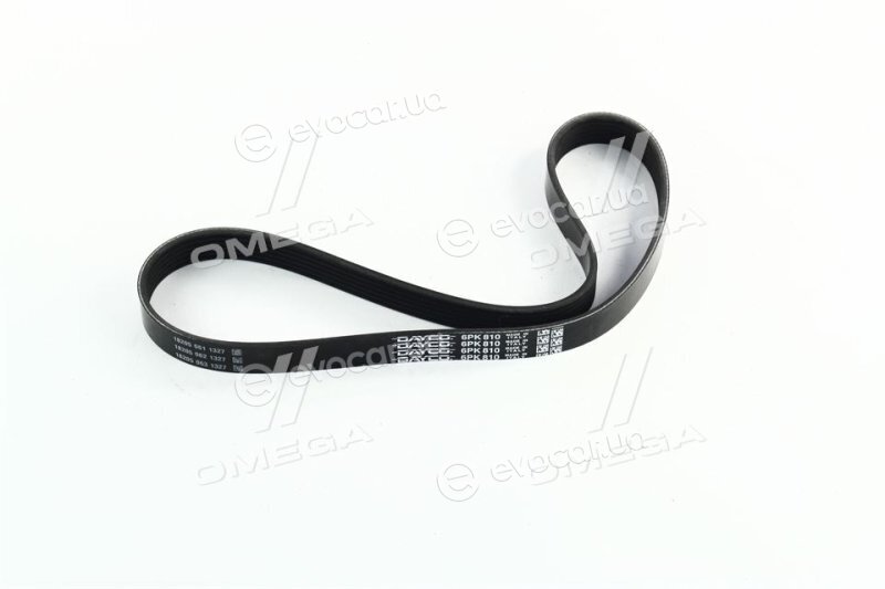 Dayco 6PK810