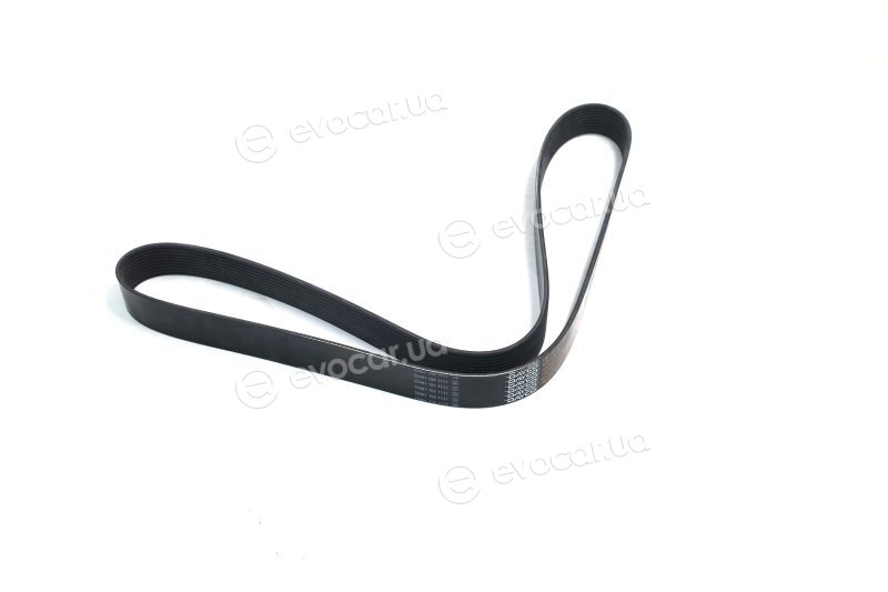 Dayco 10PK1494HD