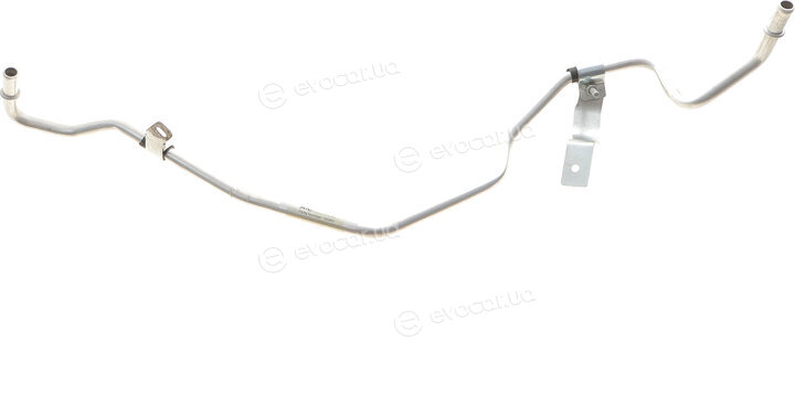 AIC 55969