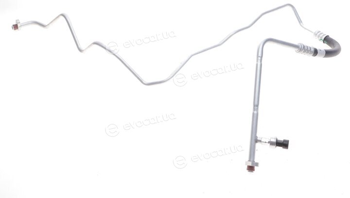 AIC 55221