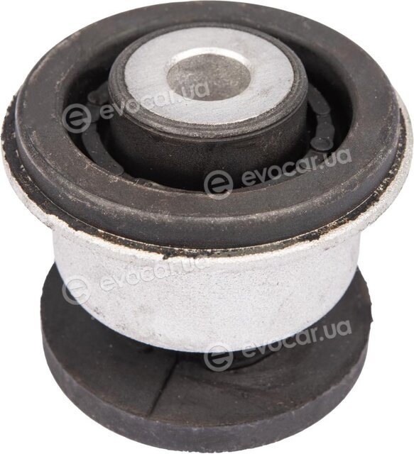 Raiso RL7P0077V