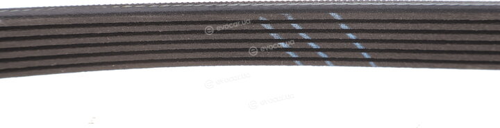 Gates 6PK718SF