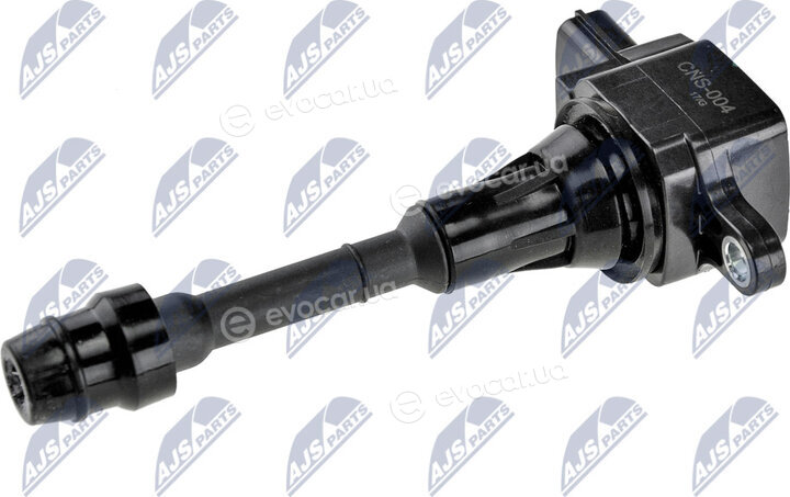 NTY ECZ-NS-004