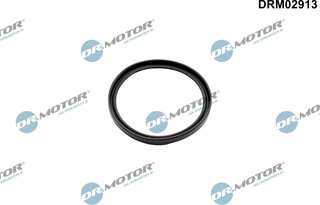 Dr. Motor DRM02913