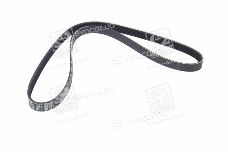 Dayco 5PK1137