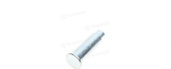 Solgy 306176