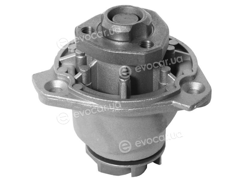 Starline VP V145