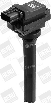 Beru ZSE072