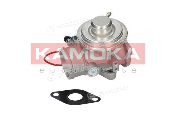 Kamoka 19032