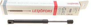 Lesjofors 8155443