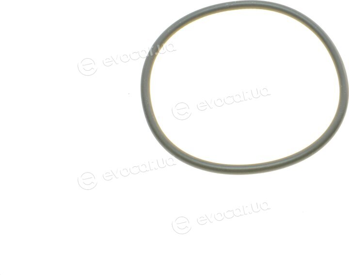 Bosch F 026 407 173