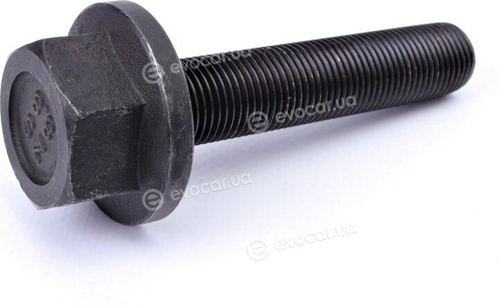 Metelli 15-1174